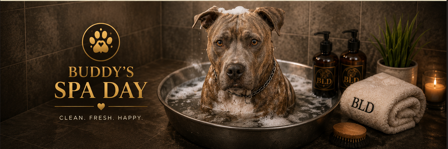 Buddy's Spa Day!